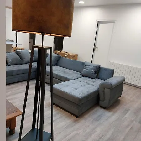 公寓 Loft 8 Max 15 Pers Parking Prive Wifi 圣艾蒂安-迪鲁夫赖