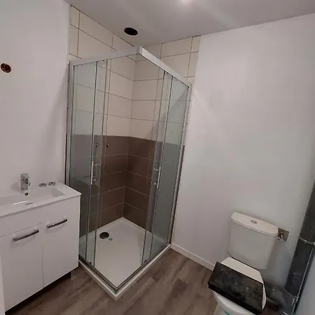 Loft 8 Max 15 Pers Parking Prive Wifi 公寓 圣艾蒂安-迪鲁夫赖