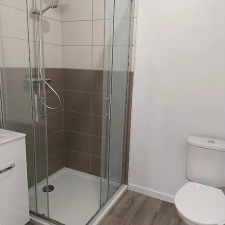 Loft 8 Max 15 Pers Parking Prive Wifi * 圣艾蒂安-迪鲁夫赖